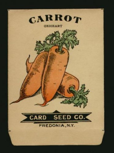 As Simple As Carrots?